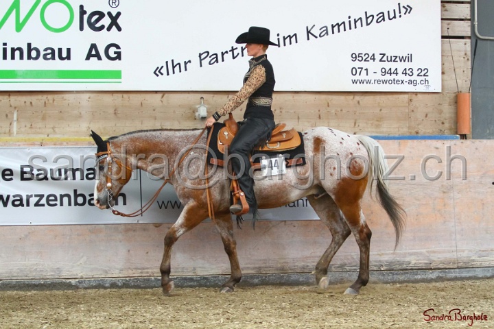 31-ApHC OWP_005.jpg